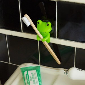 Frog Toothbrush Holder Kikkerland HH58