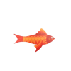 Mediterraneo - Ξύλινο Μαγνητάκι Πορτοκαλί Ψάρι - 05.21.0020 ΔΩΡΑ