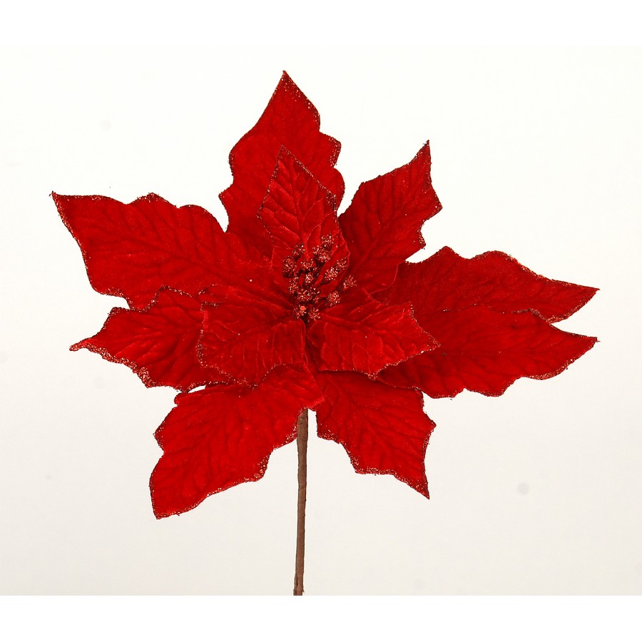 Λουλούδι Χριστουγεννιάτικο Κόκκινο Αλεξανδρινό ή Αστέρι Της Βηθλεέμ 66 εκ. Χριστούγεννα